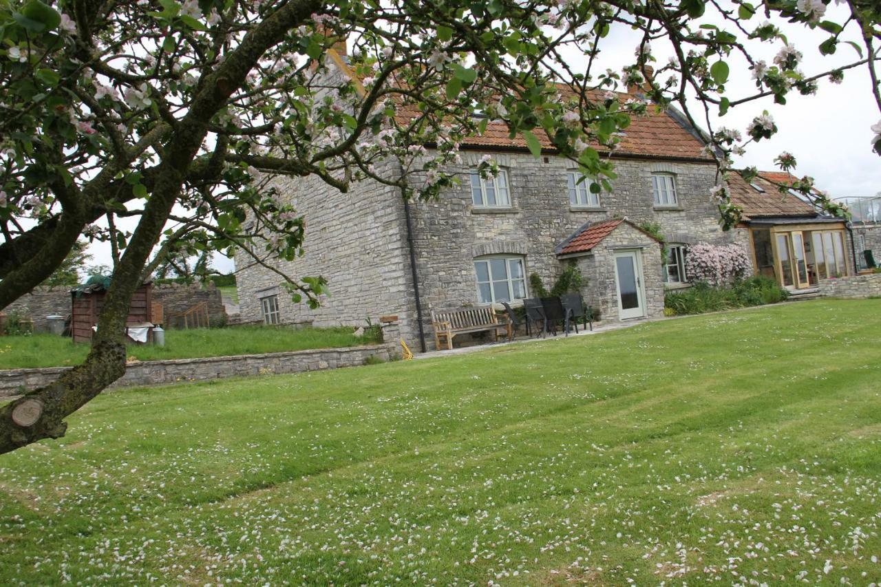 Castle Farm Bed & Breakfast Wedmore Exterior photo